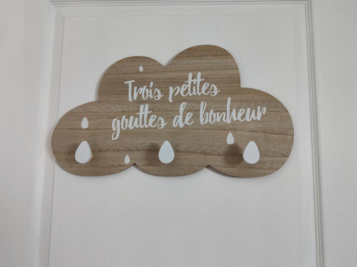 Gite Les Piraudieres Noyant-de-Touraine المظهر الخارجي الصورة